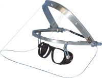 Foldable goggles fixed on visor carrier